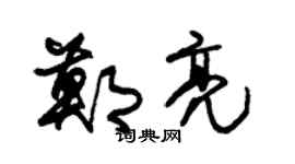 朱锡荣郑亮草书个性签名怎么写