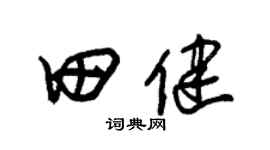 朱锡荣田健草书个性签名怎么写