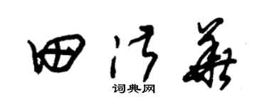 朱锡荣田淑华草书个性签名怎么写