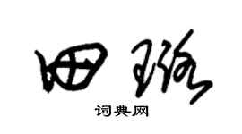 朱锡荣田璐草书个性签名怎么写