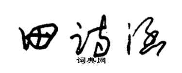 朱锡荣田诗涵草书个性签名怎么写