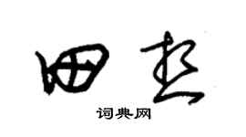 朱锡荣田想草书个性签名怎么写