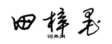 朱锡荣田梓墨草书个性签名怎么写