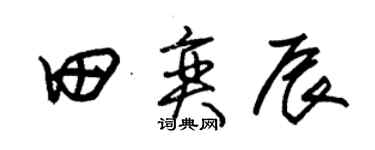 朱锡荣田奕辰草书个性签名怎么写