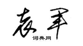 朱锡荣袁军草书个性签名怎么写