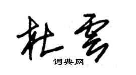 朱锡荣杜云草书个性签名怎么写