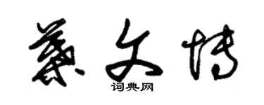 朱锡荣叶文博草书个性签名怎么写