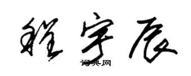 朱锡荣程宇辰草书个性签名怎么写