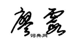 朱锡荣廖霞草书个性签名怎么写