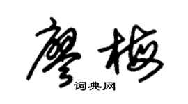 朱锡荣廖梅草书个性签名怎么写