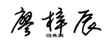 朱锡荣廖梓辰草书个性签名怎么写