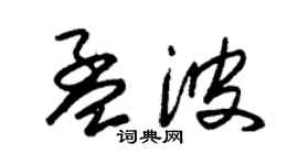 朱锡荣孟波草书个性签名怎么写