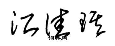 朱锡荣江佳琪草书个性签名怎么写