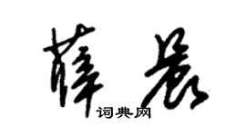 朱锡荣薛晨草书个性签名怎么写