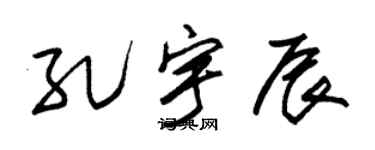 朱锡荣孔宇辰草书个性签名怎么写