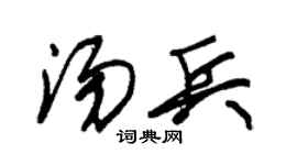 朱锡荣汤兵草书个性签名怎么写