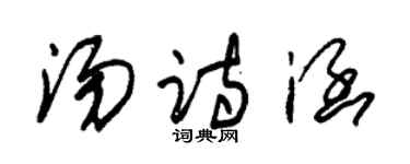 朱锡荣汤诗涵草书个性签名怎么写