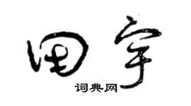 曾庆福田宇草书个性签名怎么写