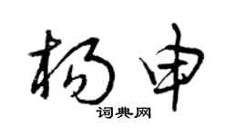 曾庆福杨申草书个性签名怎么写