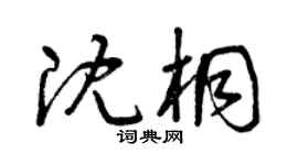 曾庆福沈桐草书个性签名怎么写