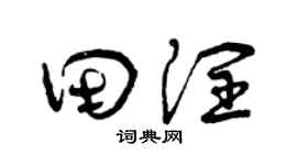 曾庆福田润草书个性签名怎么写