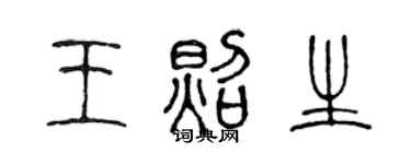 陈声远王照生篆书个性签名怎么写