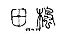 陈声远田枫篆书个性签名怎么写