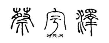 陈声远蔡宇泽篆书个性签名怎么写