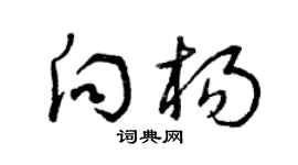 曾庆福向杨草书个性签名怎么写