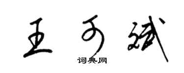 梁锦英王可斌草书个性签名怎么写