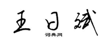 梁锦英王日斌草书个性签名怎么写