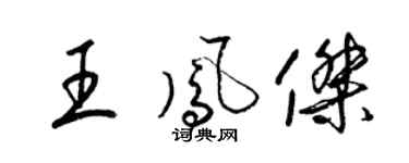 梁锦英王凤杰草书个性签名怎么写