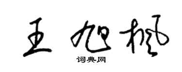 梁锦英王旭枫草书个性签名怎么写