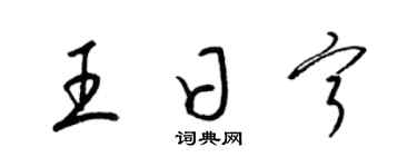 梁锦英王日宁草书个性签名怎么写