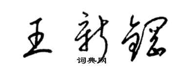 梁锦英王新钢草书个性签名怎么写