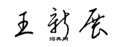 梁锦英王新展草书个性签名怎么写