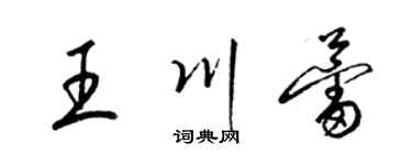 梁锦英王川蕾草书个性签名怎么写