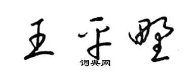 梁锦英王平野草书个性签名怎么写