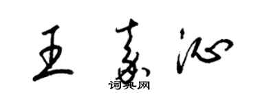 梁锦英王嘉沁草书个性签名怎么写