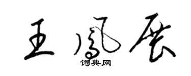 梁锦英王凤展草书个性签名怎么写