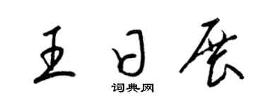 梁锦英王日展草书个性签名怎么写