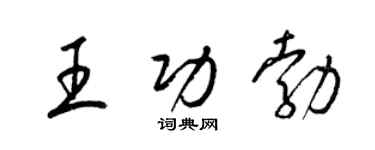 梁锦英王功勃草书个性签名怎么写