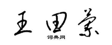 梁锦英王田兰草书个性签名怎么写