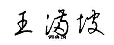 梁锦英王满坡草书个性签名怎么写