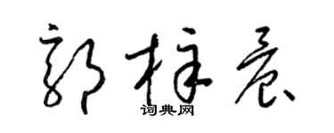 梁锦英郭梓晨草书个性签名怎么写