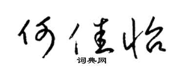 梁锦英何佳怡草书个性签名怎么写