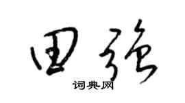 梁锦英田强草书个性签名怎么写