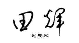 梁锦英田辉草书个性签名怎么写