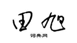 梁锦英田旭草书个性签名怎么写