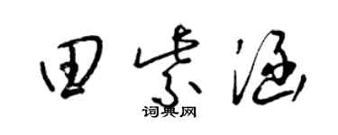 梁锦英田紫涵草书个性签名怎么写